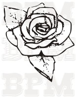 /album/kvety-stromy/kvety-8-jpg/